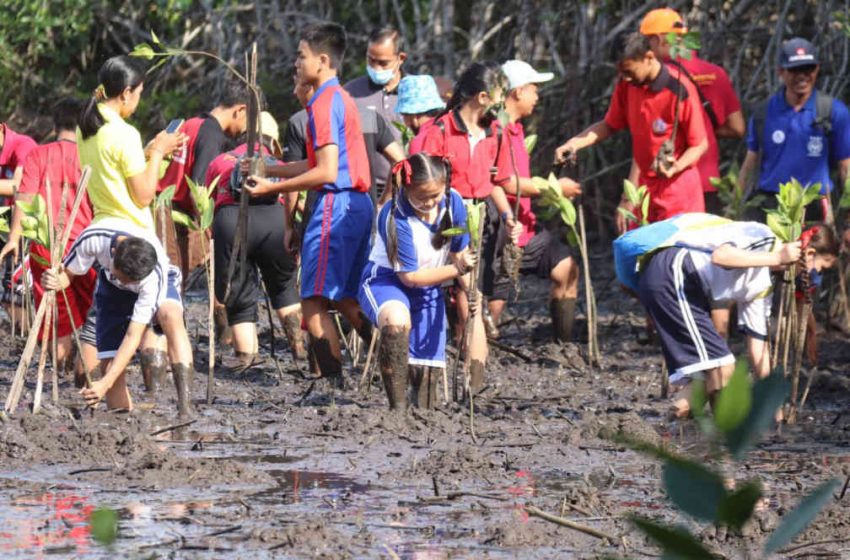  Kesadaran Siswa Serta Guru Terhadap Pentingnya Ekosistem Mangrove Harus Ditingkatkan